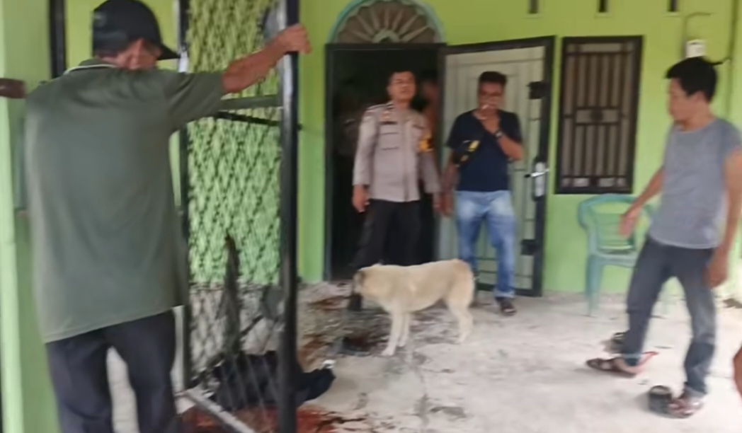 Screenshot_20250406_175831